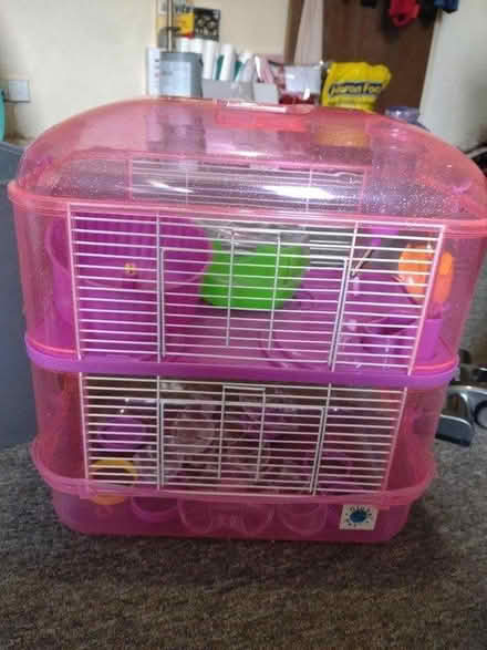 Photo of free Pink 2-tier hamster cage (Wollaton NG8) #4