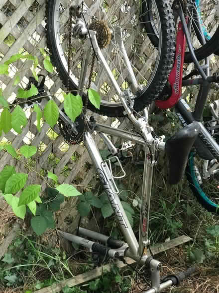 Photo of free Mountain bike (South Berkeley, CA) #1