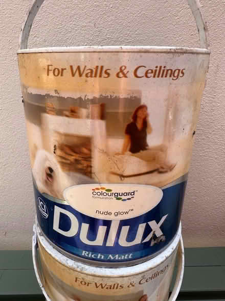 Photo of free Dulux Emulsion Paint (Shaldon) #2