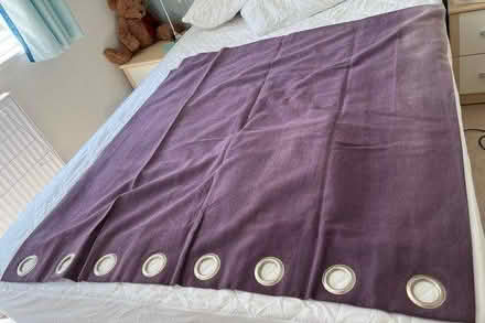 Photo of free Purple Curtains (Bracknell RG12) #2
