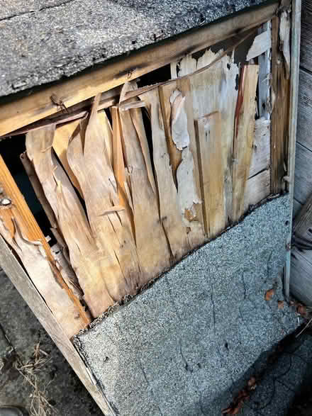 Photo of free Outdoor Cat House (wooden) (Meltonby YO42) #4