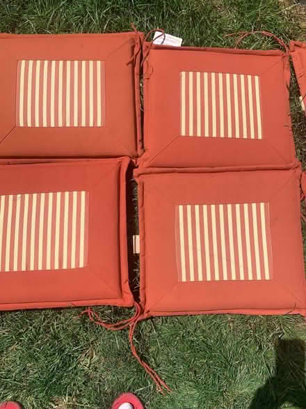 Photo of free Garden Seat Pads X9 (Southend on sea SS1) #1