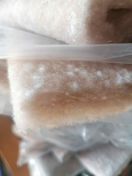 Photo of free Insulation (Dawlish) #2