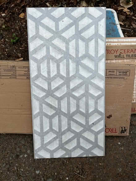 Photo of free Moroccan Style wall tiles (Sowton Village) #1