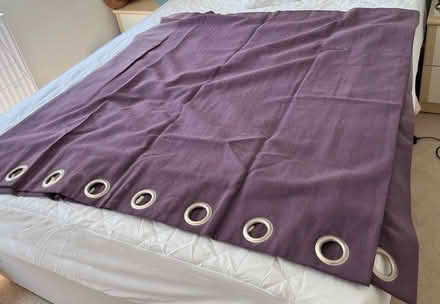 Photo of free Purple Curtains (Bracknell RG12) #3