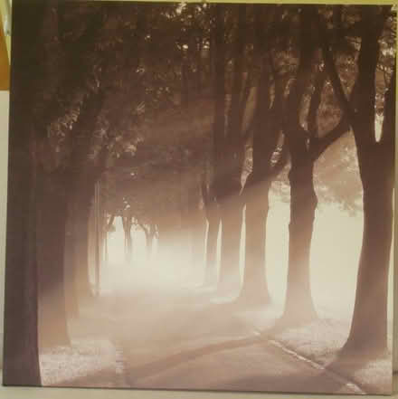 Photo of free picture (East Hunsbury) #1