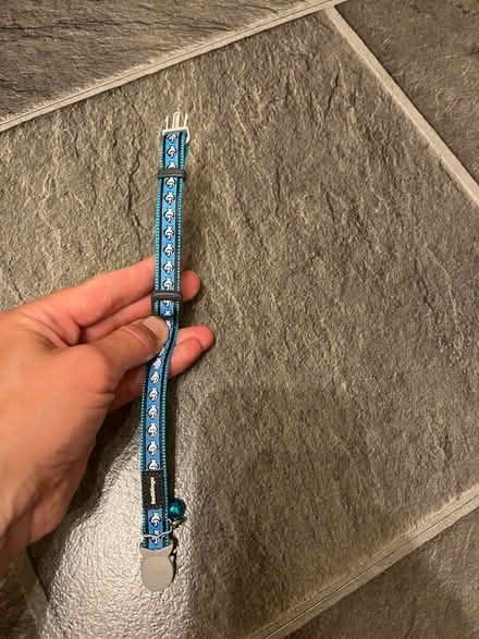 Photo of free Cat collar (Mill End, WD3) #2