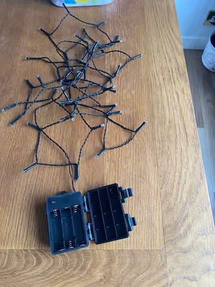 Photo of free String lights 40 (Birches head ST1) #1