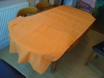 Photo of free pair of curtains (Brookvale RG21) #3