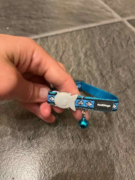 Photo of free Cat collar (Mill End, WD3) #1