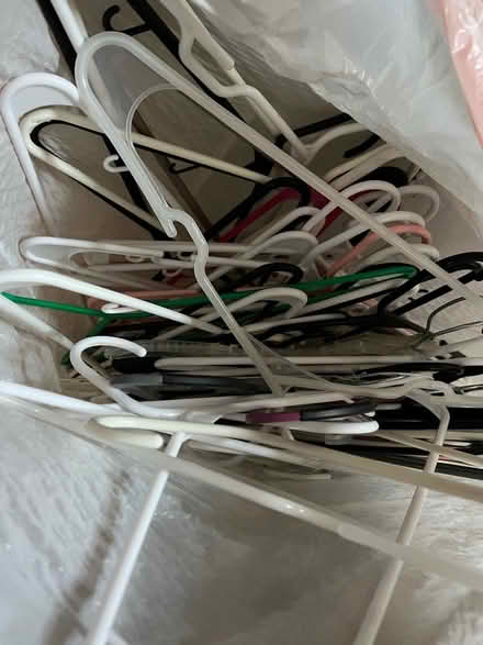Photo of free Plastic hangers (Sylmar) #1