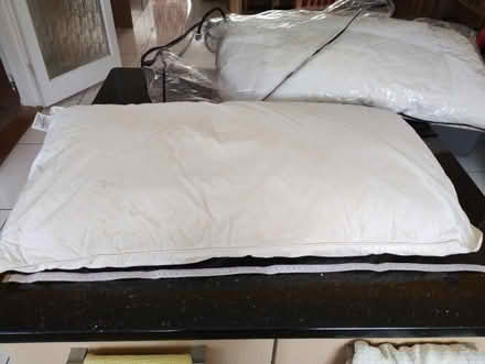 Photo of free Extra wide pillows (Bricket Wood AL2) #1