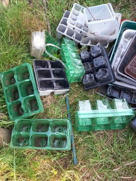Photo of free collection of plastic seed trays (Farden SY8) #1