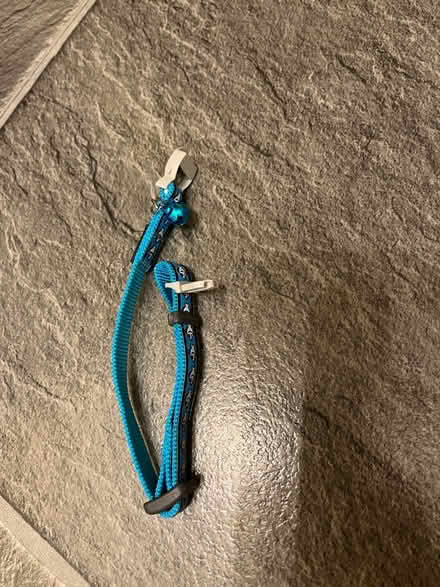 Photo of free Cat collar (Mill End, WD3) #3