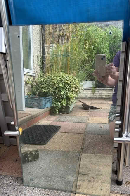 Photo of free Mirror used in garden (Widmer End HP15) #2