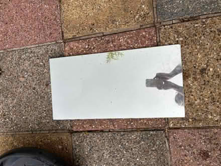 Photo of free Small Mirror used in garden (Widmer End HP15) #1