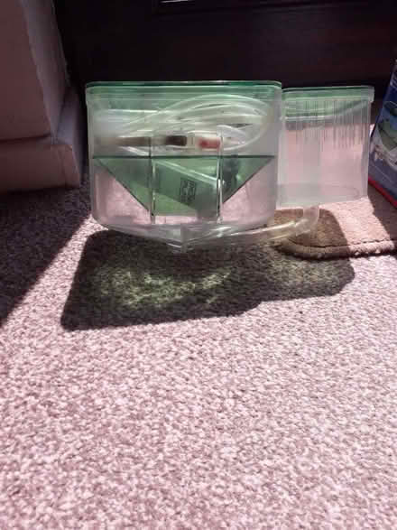 Photo of free Tropical fish hatchery (Watton IP25) #1