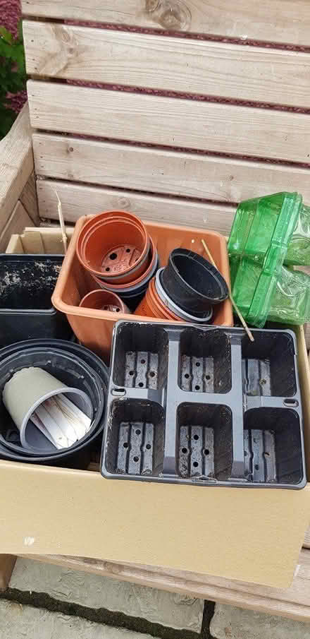Photo of free Plant pots (Abbey Wood SE2) #1