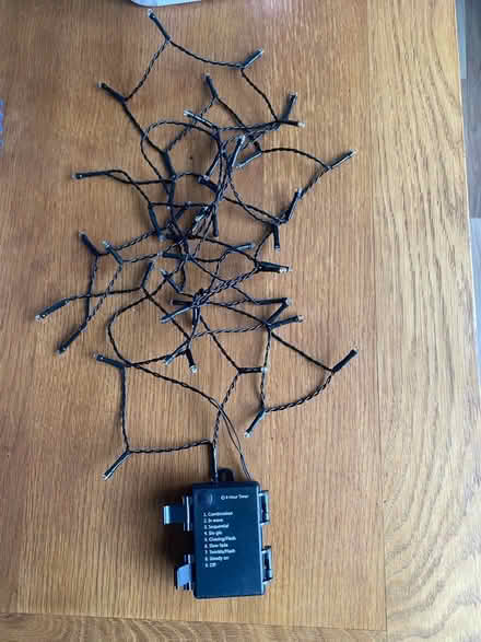 Photo of free String lights 40 (Birches head ST1) #2