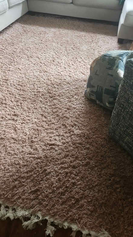 Photo of free 8 by 10 area rug, shag (North/central) #1
