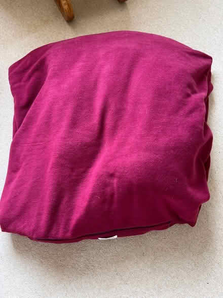Photo of free Togs for Dogs dogbed (Kenton near Exeter) #3