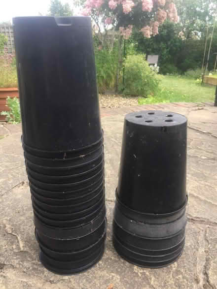 Photo of free 3litre plant pots (Tunbridge Wells S. TN2) #1