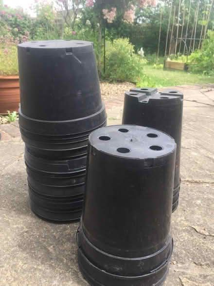 Photo of free 4litre plant pots (Tunbridge Wells S. TN2) #1