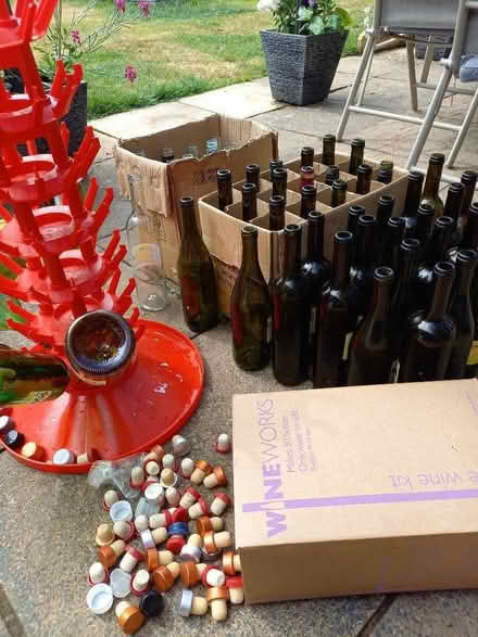 Photo of free Bottles for home brew (Gobowen SY11) #1