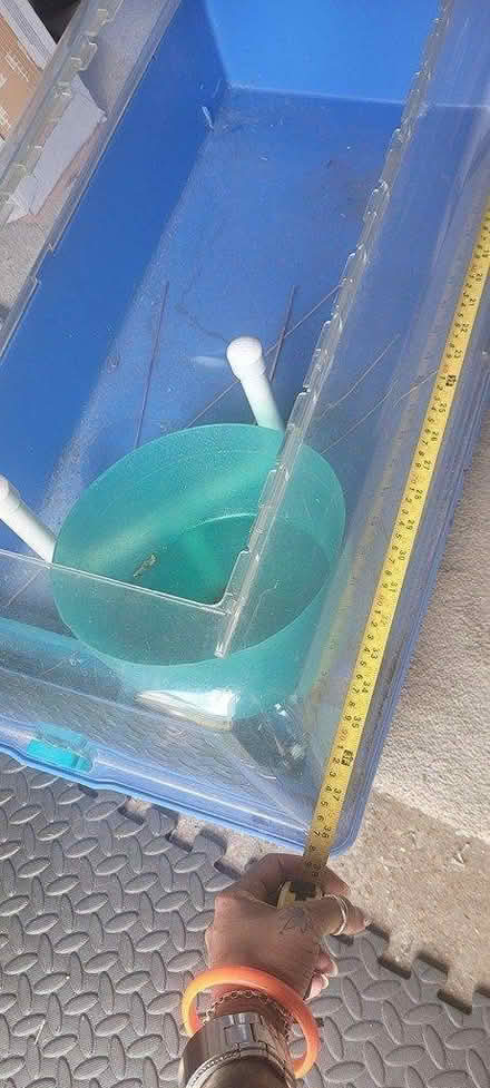 Photo of free hamster/guinea pig enclosure, wheel (Edmonton N9) #2