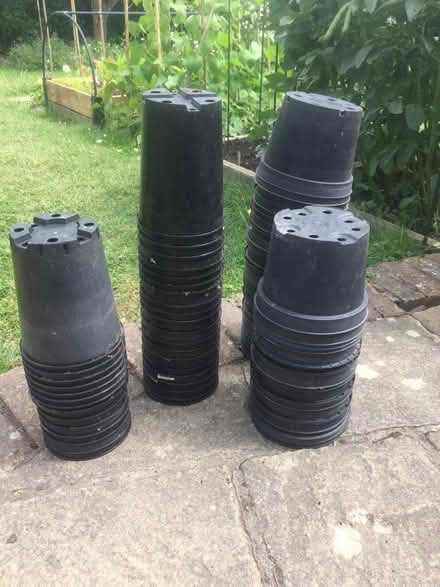 Photo of free Plant pots 2litre (Tunbridge Wells S. TN2) #1