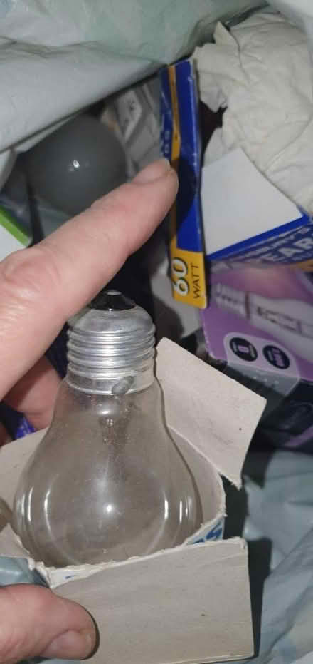 Photo of free Light bulbs screw fitting (Larkhall bath) #4
