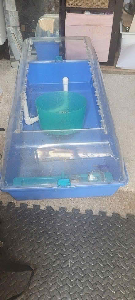 Photo of free hamster/guinea pig enclosure, wheel (Edmonton N9) #1