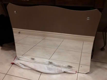 Photo of free antique wall mirror(1940s) (Wynford) #1