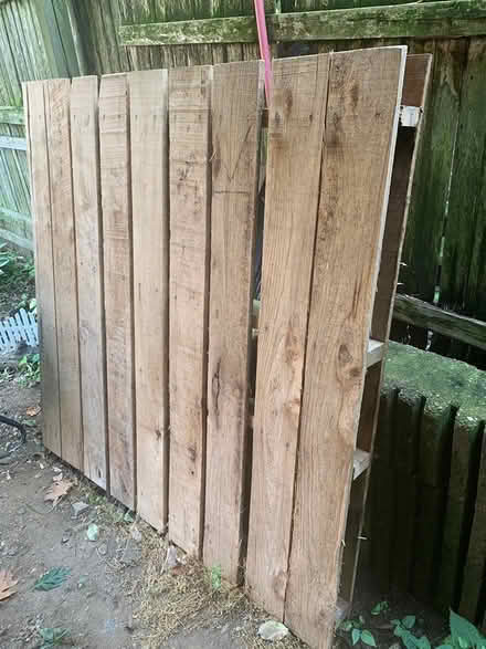 Photo of free Pallet (Bronx) #1