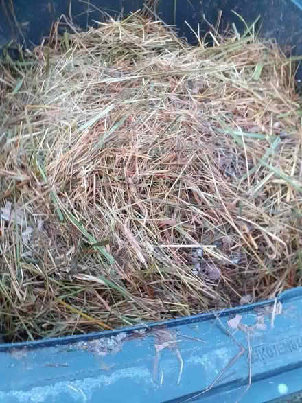 Photo of free Rabbit compost (Hemel Hempstead HP2) #1