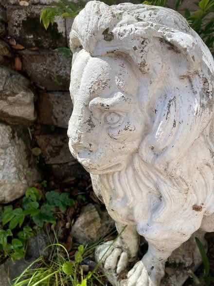 Photo of free Decorative Lion (Beachwood Canyon) #2