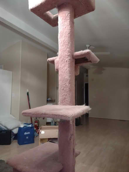 Photo of free cat tree (near 237 in Sunnyvale) #1