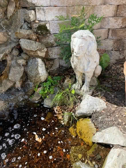 Photo of free Decorative Lion (Beachwood Canyon) #1