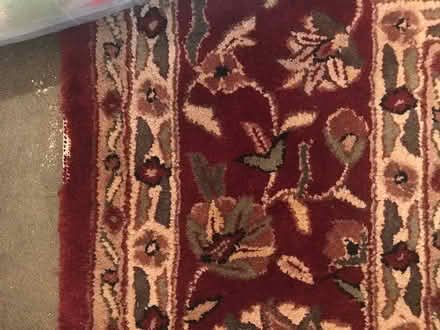 Photo of free Wool rug (Bungalow Heaven Pasadena, CA) #4