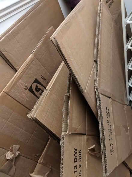 Photo of free Moving Boxes (Round Hill BN2) #1