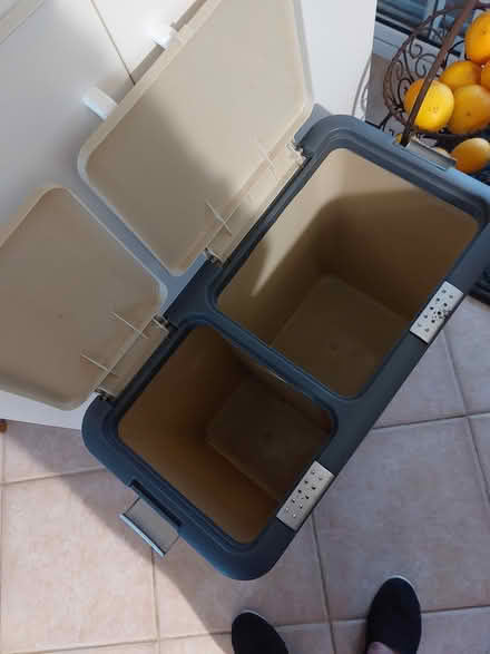 Photo of free Twin kitchen tidy bins (Springfield Central Coast) #2