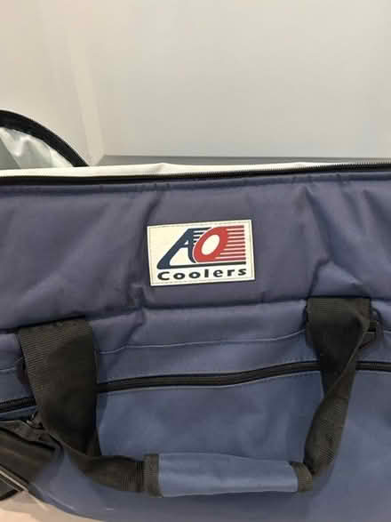 Photo of free Soft sided cooler (20020) #1