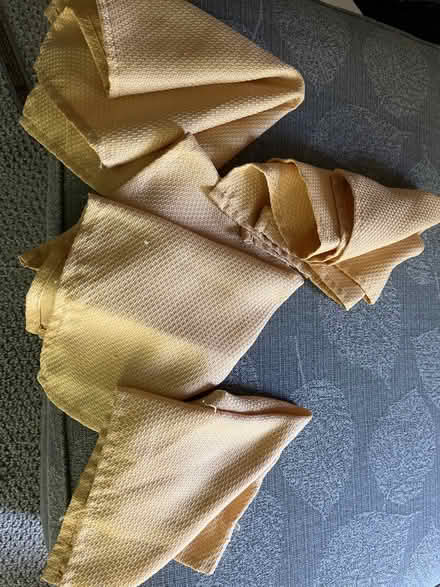Photo of free Cloth napkins (Near Shillington) #1