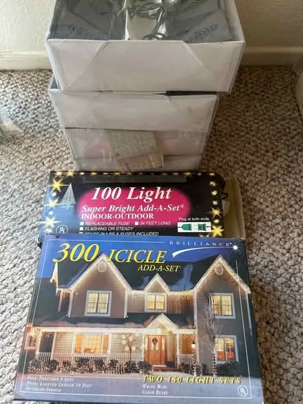 Photo of free Garden and string lights (Wilshire and La Cienega) #2