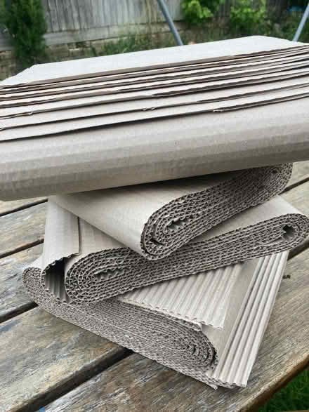 Photo of free Cardboard packing / filler (Hillbourne BH18) #1