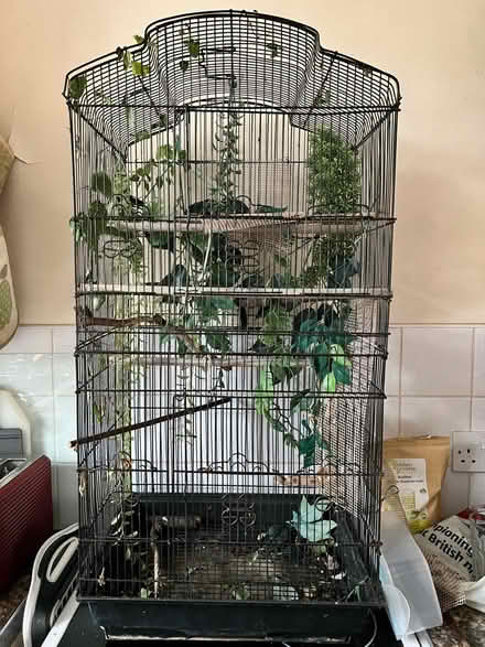 Photo of free Bird cage (Camden NW1) #1
