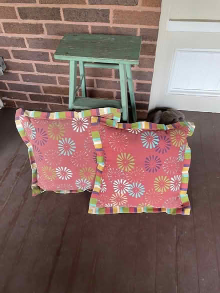 Photo of free Three Outdoor Pillows (Near 11 and Woodward) #1