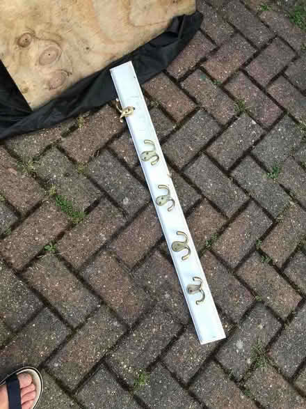 Photo of free Double brass coat hooks (Birch CO2) #1