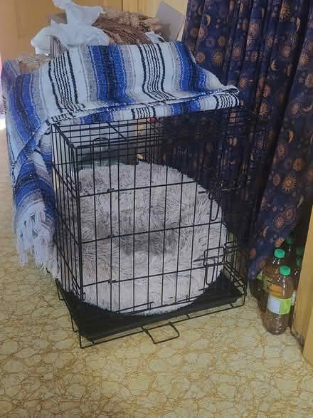 Photo of small dog crate (20722 - near Peace Cross) #1