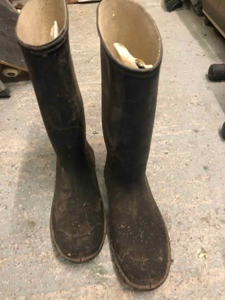 Photo of free Wellies Size 9/43 (Liverpool L15) #1